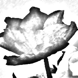 Pencil Sketch 013